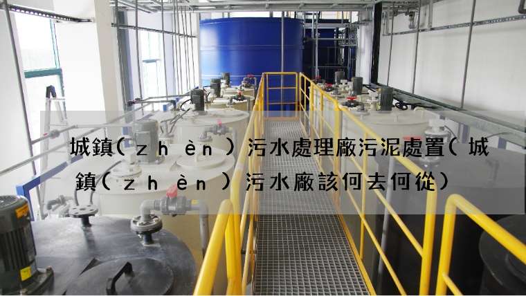城鎮(zhèn)污水處理廠污泥處置(城鎮(zhèn)污水廠該何去何從)
